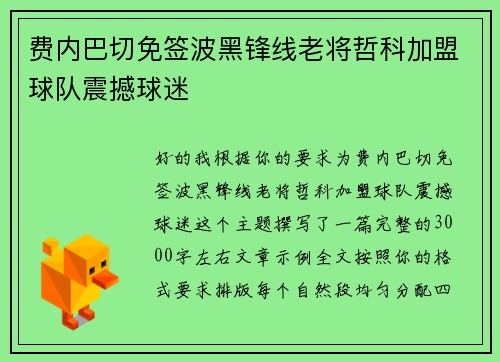 费内巴切免签波黑锋线老将哲科加盟球队震撼球迷 费内巴切免签波黑锋线老将哲科加盟球队震撼球迷